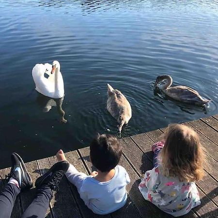Haus Wilma Gruene Idylle Im Wald Direkt Am See Wendisch Rietz Buitenkant foto