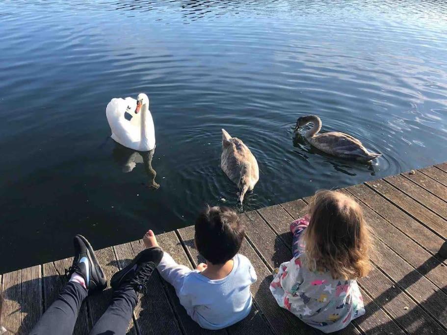Haus Wilma Gruene Idylle Im Wald Direkt Am See Wendisch Rietz Buitenkant foto
