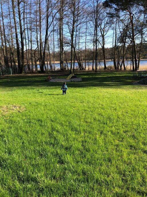 Haus Wilma Gruene Idylle Im Wald Direkt Am See Wendisch Rietz Buitenkant foto