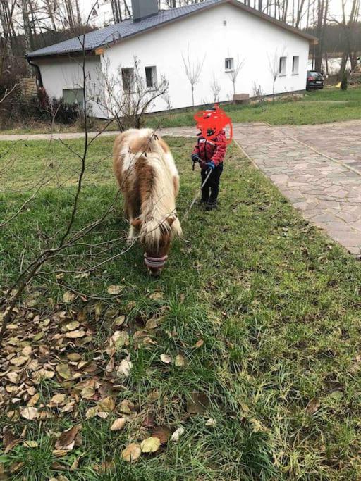 Haus Wilma Gruene Idylle Im Wald Direkt Am See Wendisch Rietz Buitenkant foto
