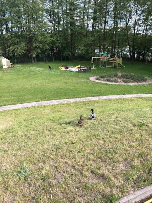 Haus Wilma Gruene Idylle Im Wald Direkt Am See Wendisch Rietz Buitenkant foto